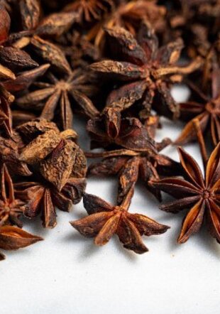 Hoa Hồi Thủy Mộc