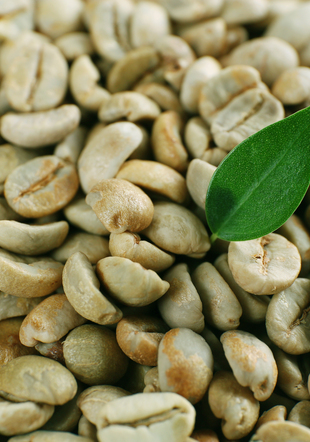 Cà phê nhân xanh Robusta